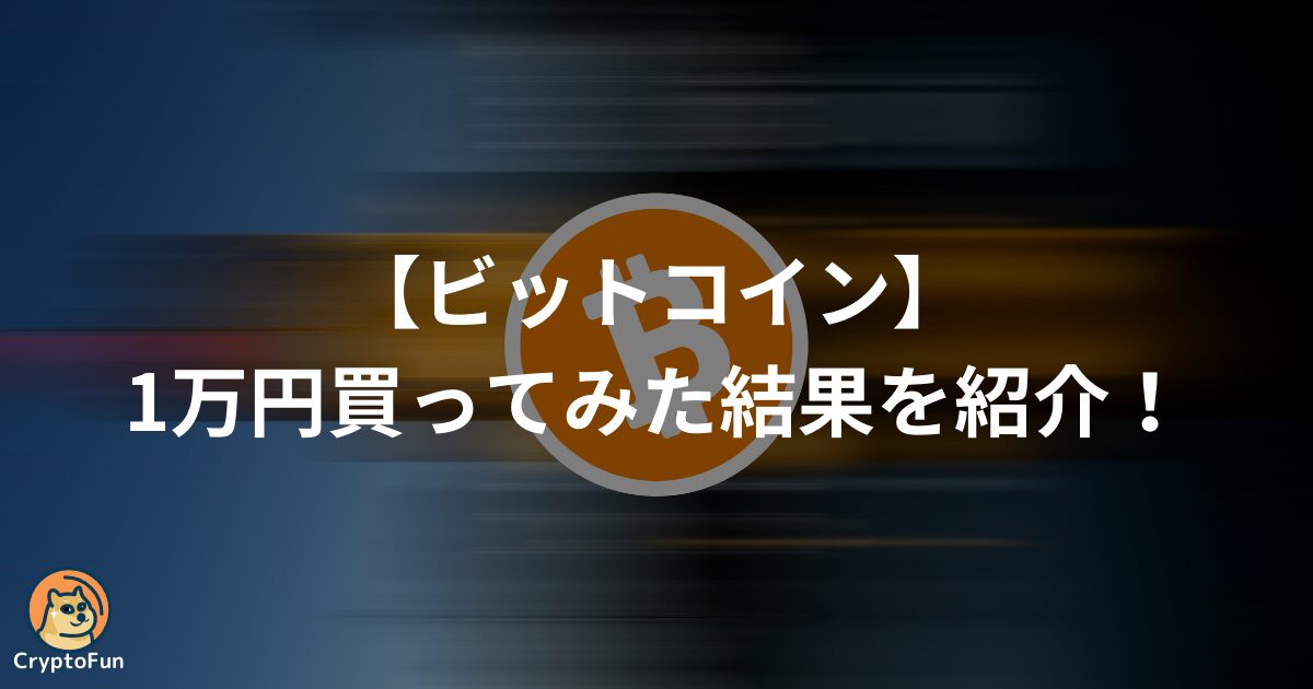 ビットコインを1万円買ってみた結果を分かりやすく解説！